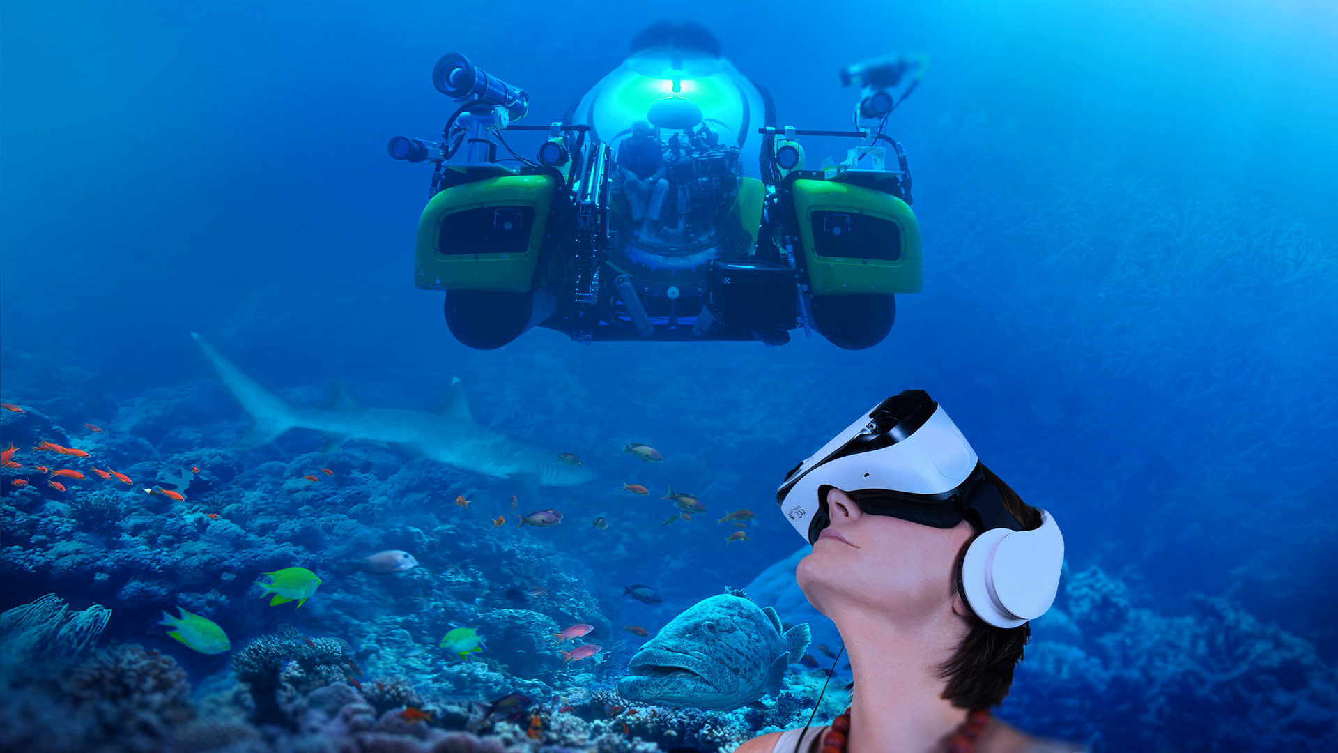 David Attenborough's Great Barrier Reef | VR